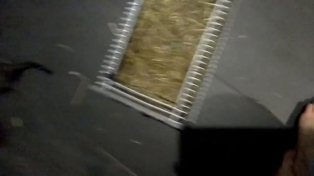 Playing with my degus смотреть онлайн