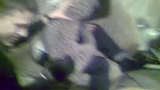Юра+кошка смотреть онлайн