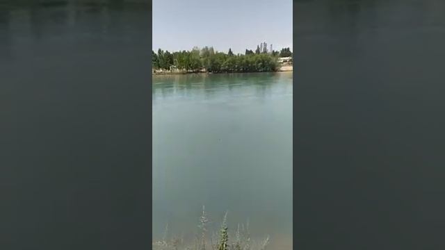 Нарын и стрижи..... смотреть онлайн