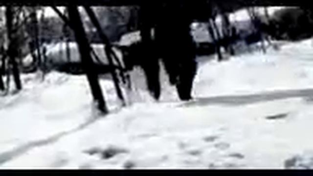 Сява Лигализуйте смотреть онлайн