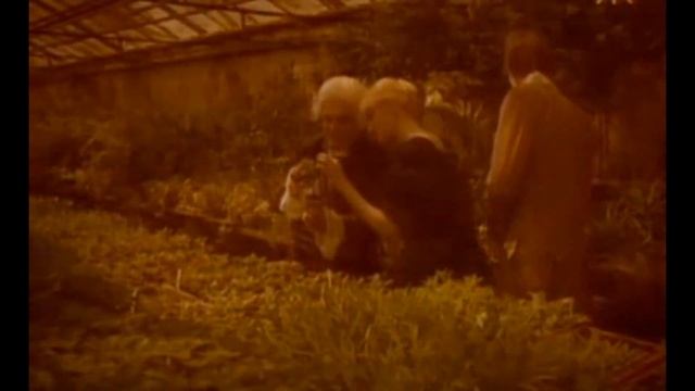Karl Lenniy  Haqida Malumot (10-sinf Biologiya)