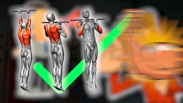 Лучшие и Худшие упражнения на Бицепс смотреть онлайн