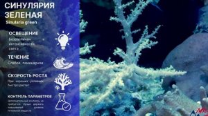 Самые ПРОСТЫЕ кораллы для морского аквариума