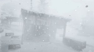 УЮТНАЯ ЗИМНЯЯ деревня и холодная снежная буря 2025 года. Звуки легкого засыпания - Снежный покров