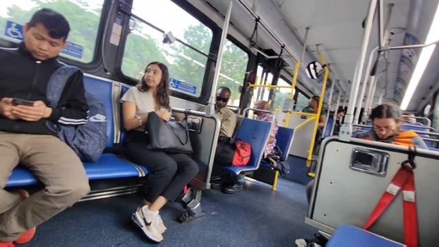 Cute Girl Stares At Bulge, Gets WET Looking