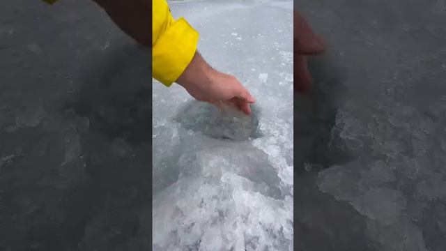 Супер рыбалка с комфортом 👍👍👍 смотреть онлайн