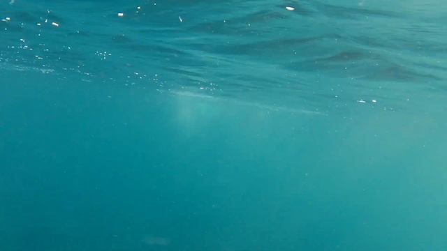 Большой Утриш. Подводное видео с двух пляжей. смотреть онлайн