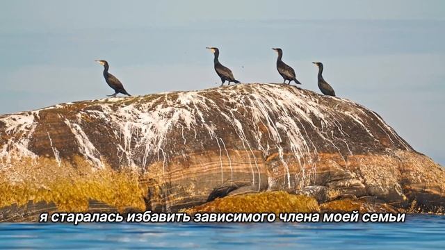 "Первый Шаг". 3 января. Сегодня-лучший путь. Ежедневник для созависимых. смотреть онлайн