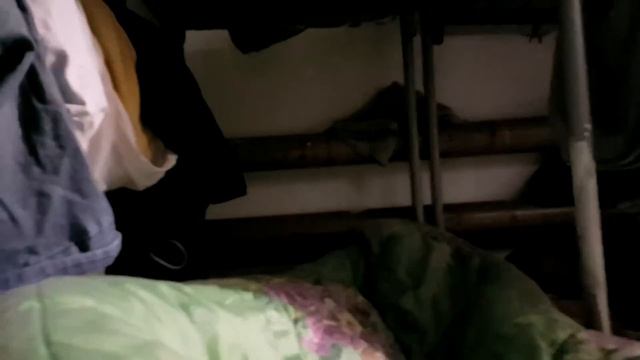 Прямая трансляция от Камол - Mon Dec 14 11:56:04 GMT+03:00 2015 смотреть онлайн