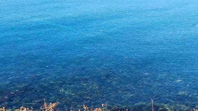 Большой Утриш, Прямая трансляция Стрим прогулки прямые эфиры и трансляции по Москве смотреть онлайн