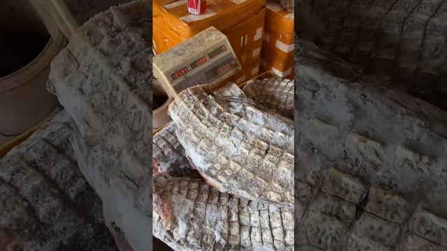 мясо кракодила заморозка смотреть онлайн