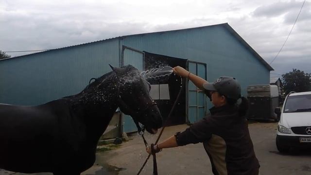 Веня и головомойка) Белка смотреть онлайн
