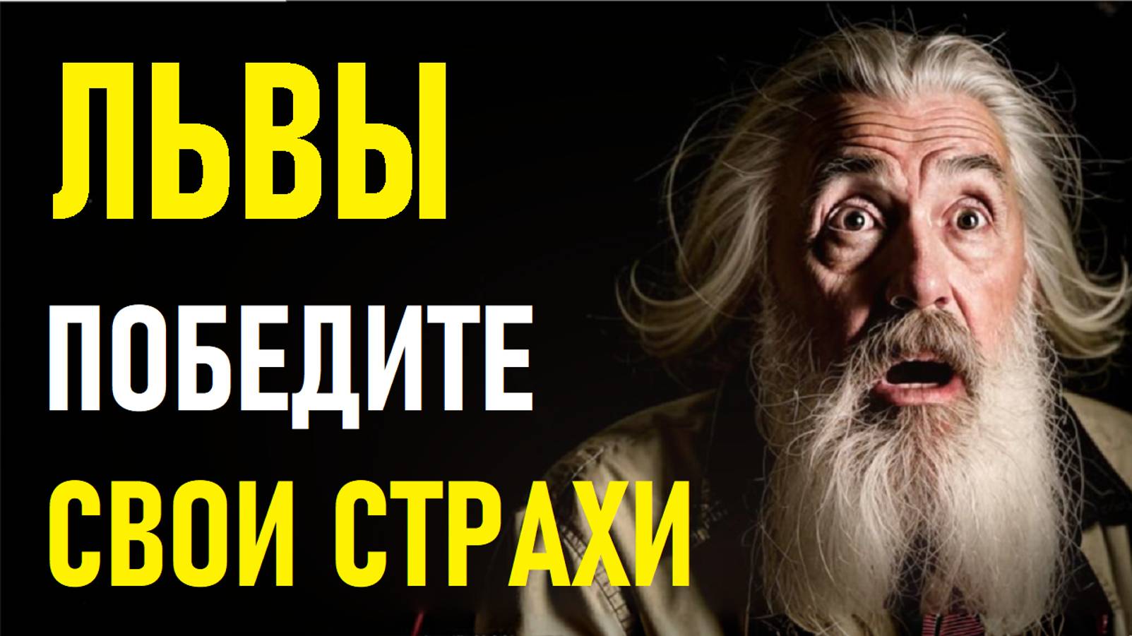 ⚠️Львы в панике! 24 Страха, Которые Лишают Их Счастья — Узнай Свои Тайные Тревоги!⚠️ смотреть онлайн
