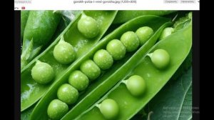 Биология с нуля Ч.16. Плоды