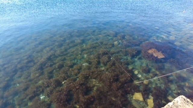 Большой Утриш. 66 августа. 5 октября. Подводное видео, прогулка до маяка. смотреть онлайн