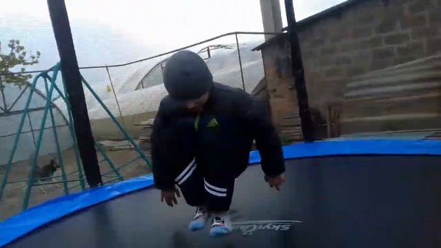 Ананас Адидас смотреть онлайн