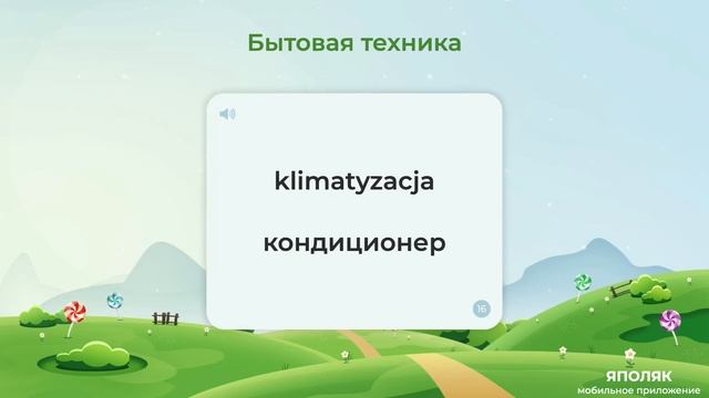 Польский язык. Бытовая техника смотреть онлайн