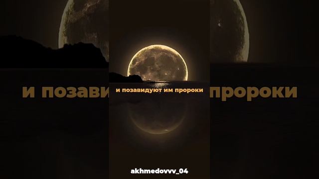 Мою любовь заслужили те #ислам #shortvideo #глобальныерекомендации #рекомендации #recommended #кора смотреть онлайн