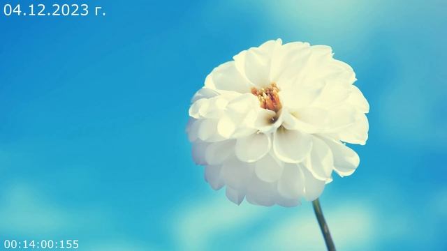 831 Духовное развите 04.12.2023 г смотреть онлайн