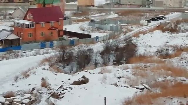 Дог-опекунша ба-Лида - кормежка бродячих собак - 2018-11-16 - 17.00 смотреть онлайн