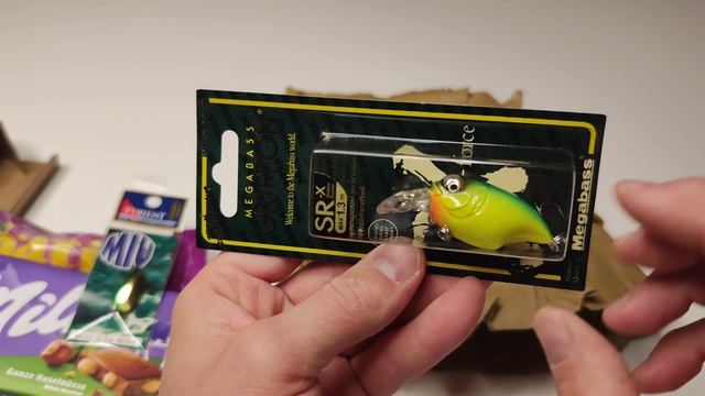 Подарок от подписчика и друга! Снасти на спиннинг MEGABASS & SALMO! FISHING LURES 4 PIKE смотреть онлайн