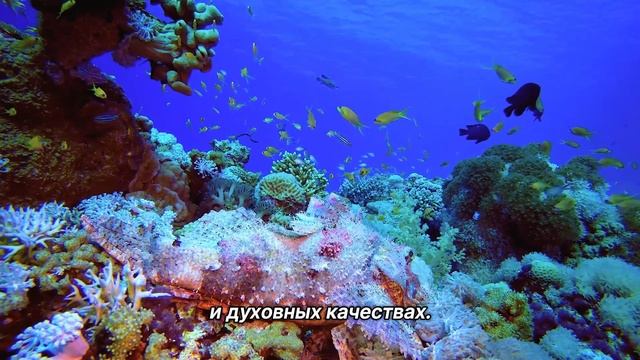 "Золотая середина". 12 января. Мелоди Битти. Ежедневник для созависимых. смотреть онлайн