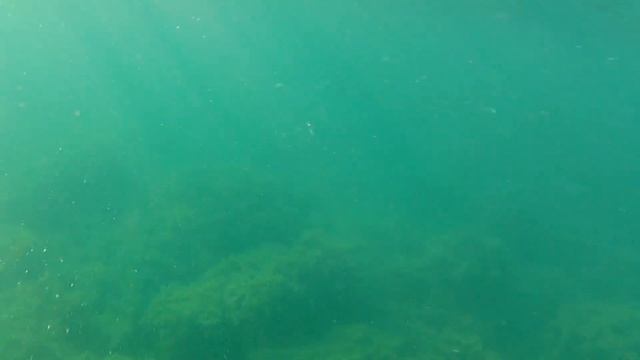 Большой Утриш прогулка и подводное видео. Появилось много рыбы. смотреть онлайн