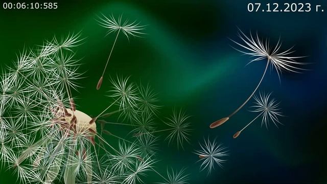 833 Как это просто жить 07.12.2023 г смотреть онлайн