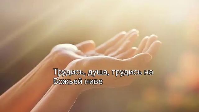 Душа, ты выбрала любить. Оксана Павлычева. Христианское стихотворение смотреть онлайн