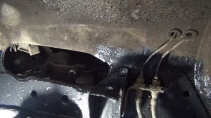 Некоторые вопросы по ниваводству.