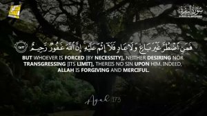 Сура «Аль-Бакара» для расслабления, успокоения и трогания сердца