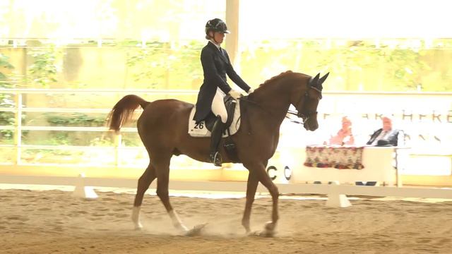 PRIME VAL KOSSACK & Tara Den Hartog --- EC ARABIEN SPORTHORSES --- July 2021 смотреть онлайн