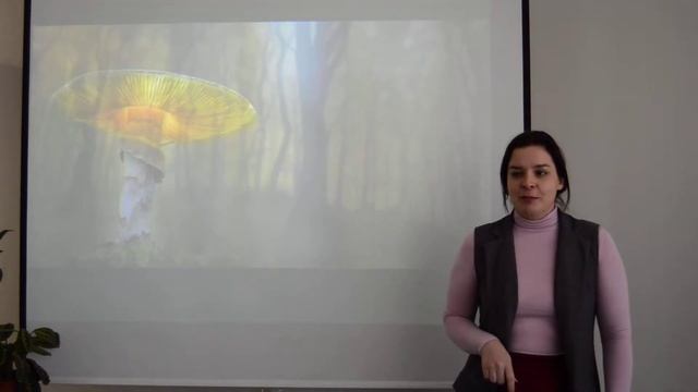 Волович смотреть онлайн