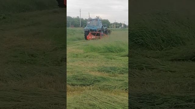 30 мая 2023 г. смотреть онлайн