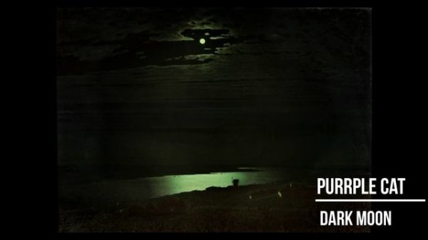 Purrple cat - Dark Moon