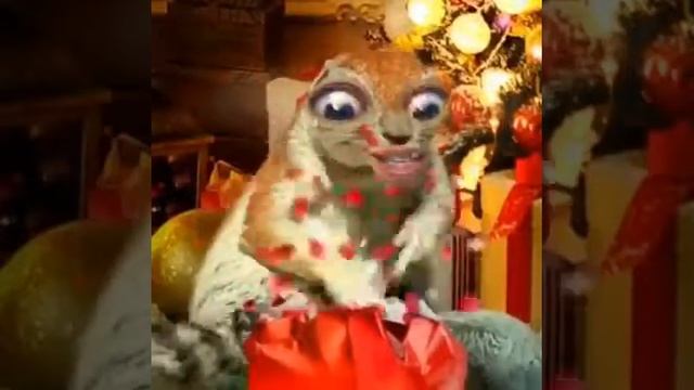 31 декабря 2017 г. смотреть онлайн