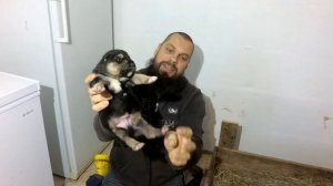 РОЖДЕННЫЕ НА ХУТОРЕ ЩЕНКИ АЛАБАЯ.