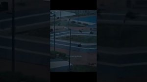 Ураган в С.Петербурге, июль 2024