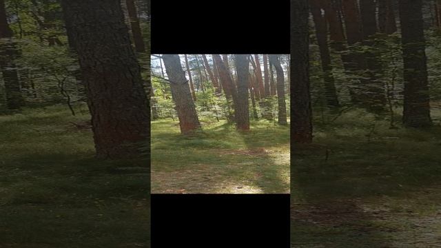 VID_20240624_135749.mp4 смотреть онлайн