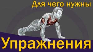 Зачем нужно делать упражнения?