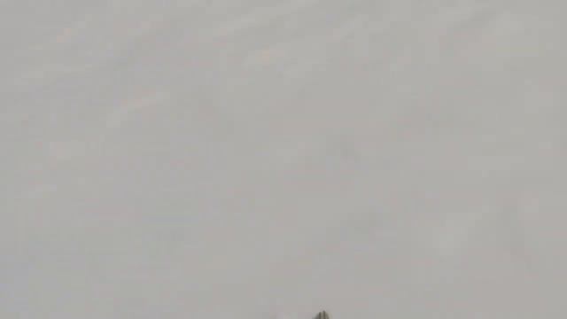 Завтра. смотреть онлайн