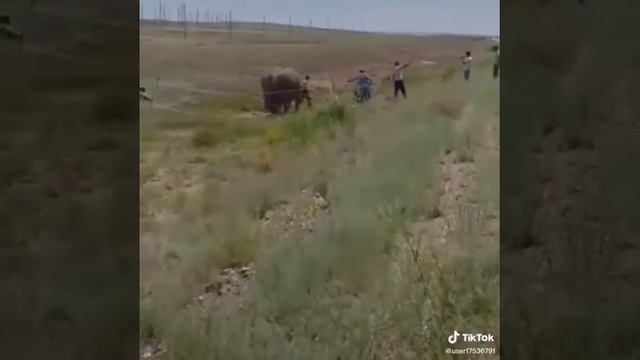 Сланы в казахстани смотреть онлайн