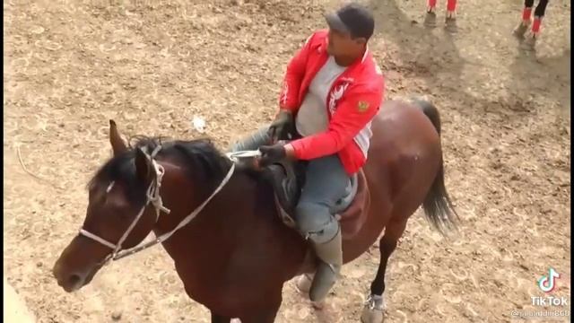 SAMARQANDNI MAYDON TALAMAS POLVONI SAMARQANDI LOBOY JOYDA TASHLAYDI смотреть онлайн