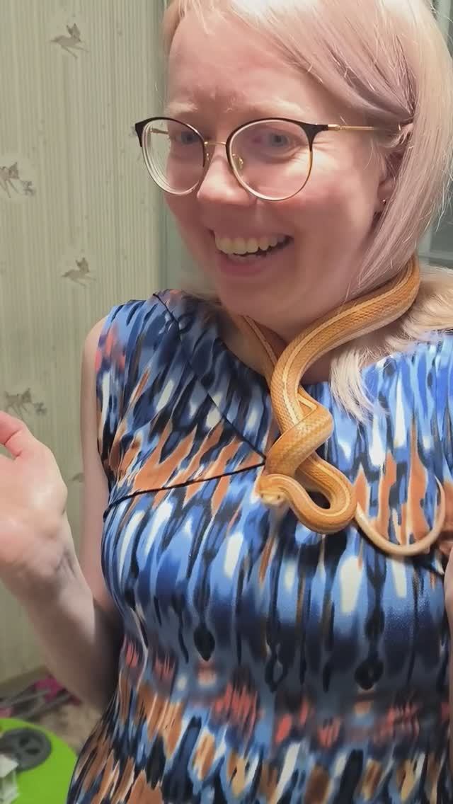 Талисман наступающего года смотреть онлайн