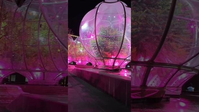 парк галицкого новогодний фонтан Инфинити с утепленными деревьями смотреть онлайн