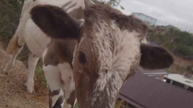 8 сентября 2023 г. смотреть онлайн