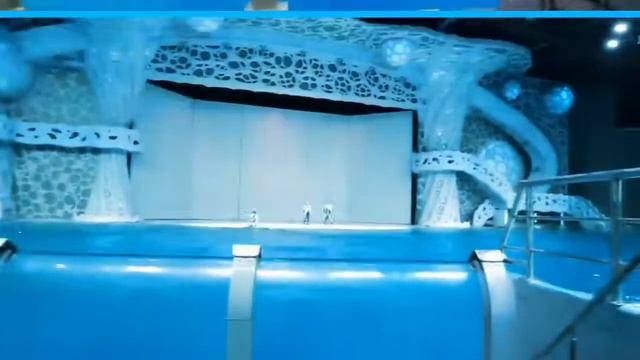 Москвариум. Душ морской водой от касаток. Дельфины.