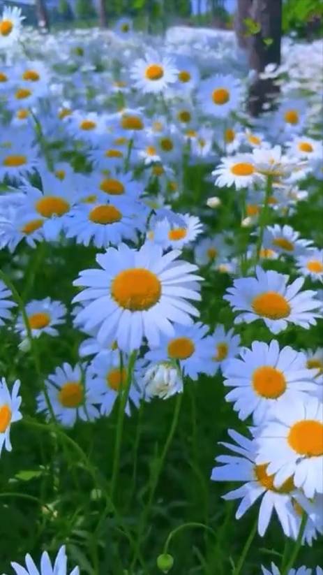 Ловите мгновения ... смотреть онлайн