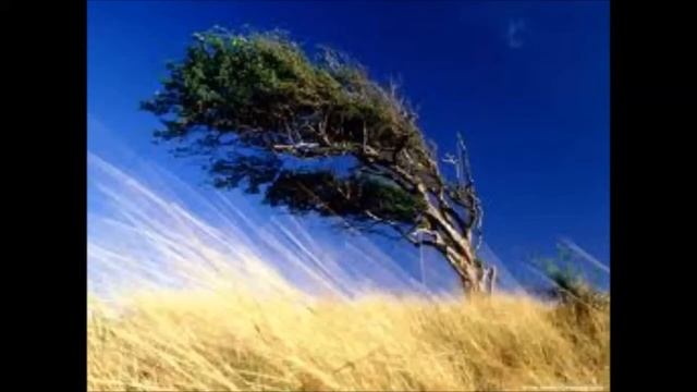 O TEMPO E O VENTO MUMD смотреть онлайн