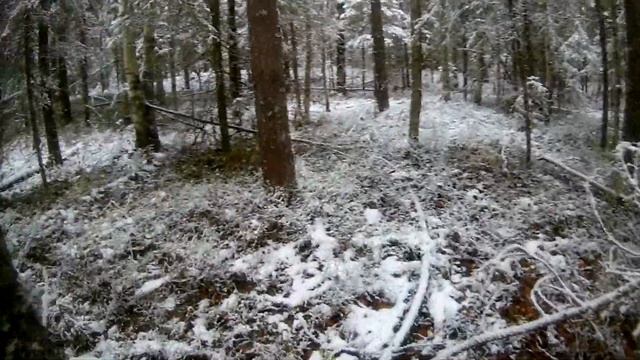 Сыктывкар "Тропа здоровья"_10 смотреть онлайн